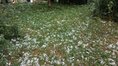СО започва огледи на щетите след градушката