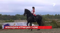 Невиждана атракция с коне Невиждана атракция с коне